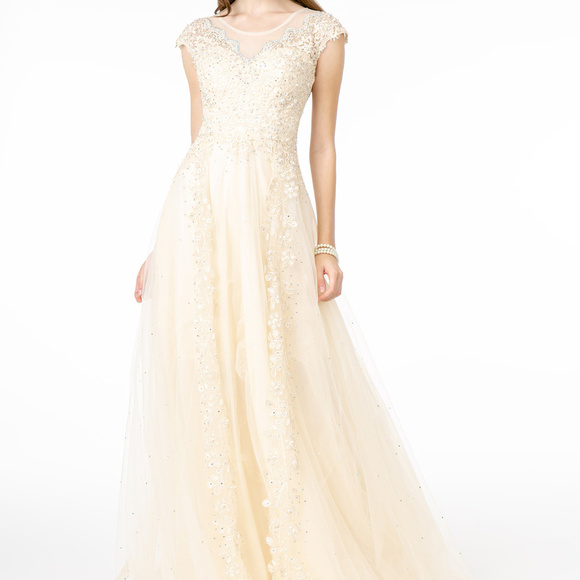 A-Line Long Dress With Sheer Back GSGL2882